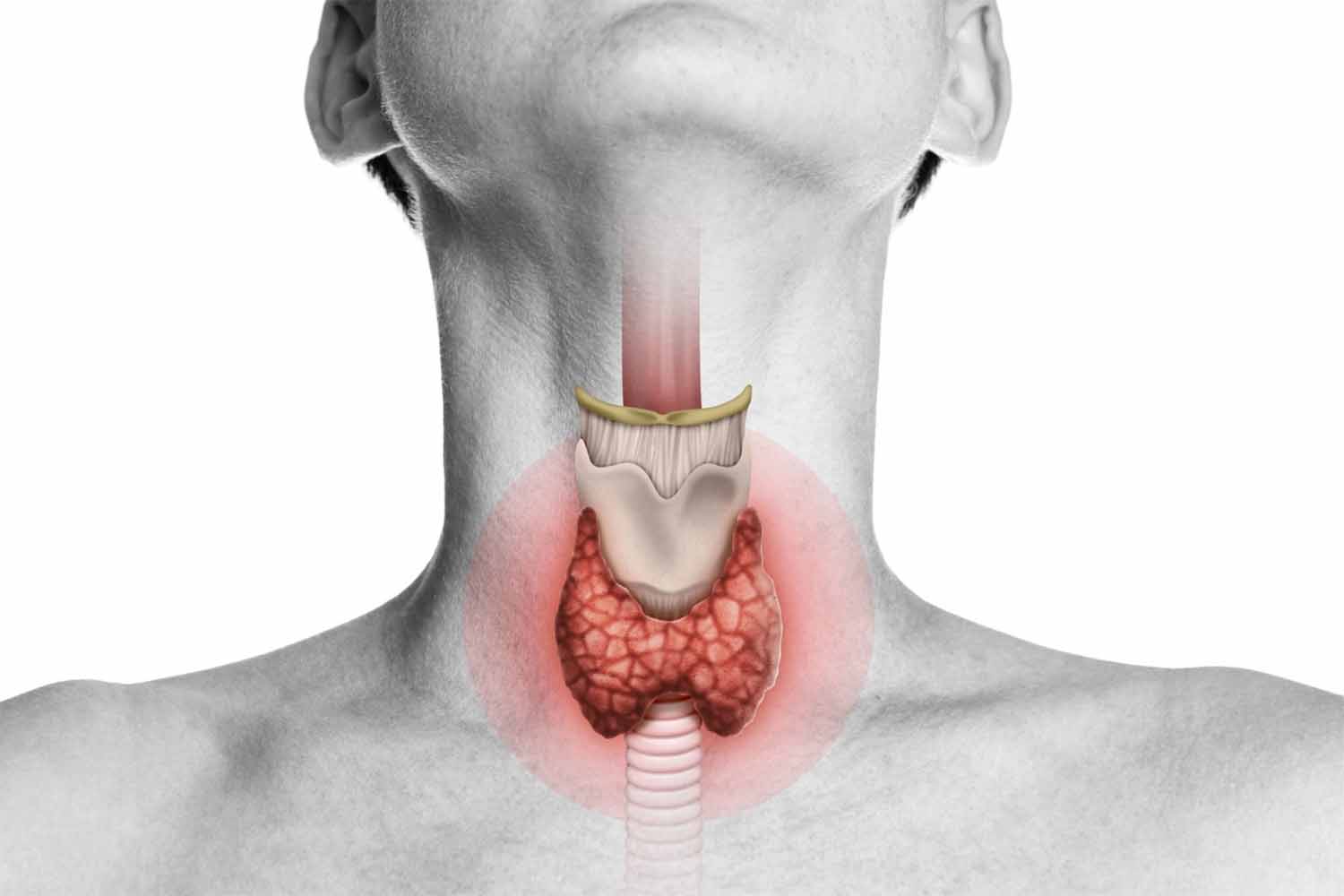 Earth ENT Clinic provides best Thyroid Removal Surgery (Thyroidectomy) in Sion, Mumbai by Top ENT Surgeons Dr. Balagopal Kurup and Dr. Srinidhi Ravi.